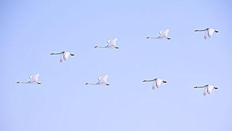 东方游戏文化周精彩抢先预告 4月12日正式开启